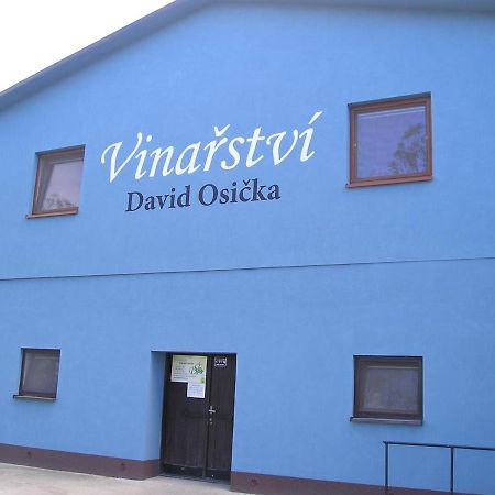 Vinarstvi David Osicka Apartment Velké Bílovice Exterior foto
