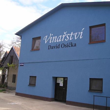 Vinarstvi David Osicka Apartment Velké Bílovice Exterior foto